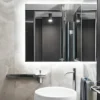 SILVERONYX.webp