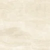 c42.1.webp
