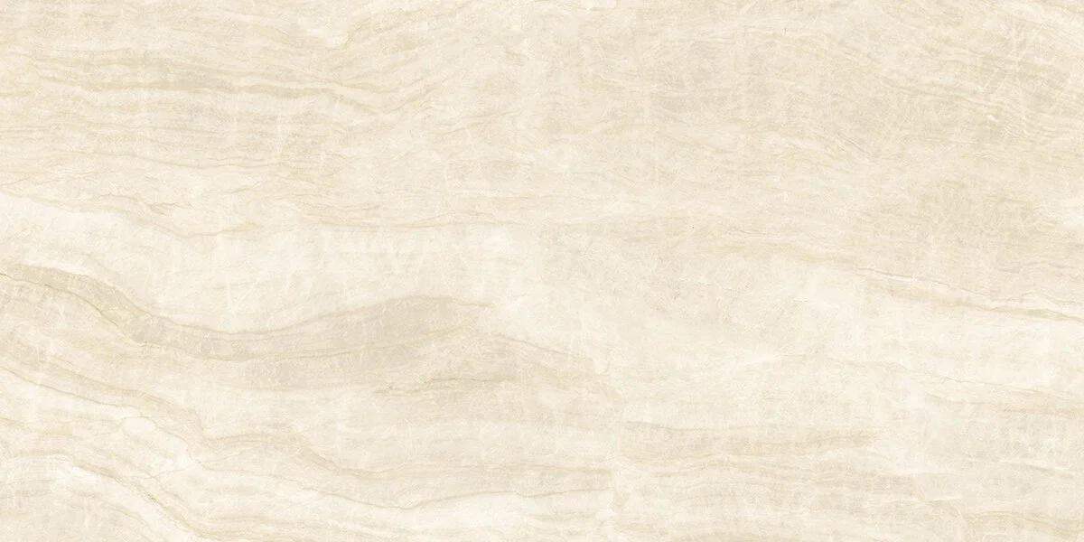 c42.1.webp