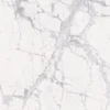 c45.1.webp